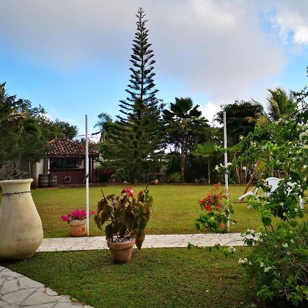 Bungalow Maelie La Trinité Exterior foto
